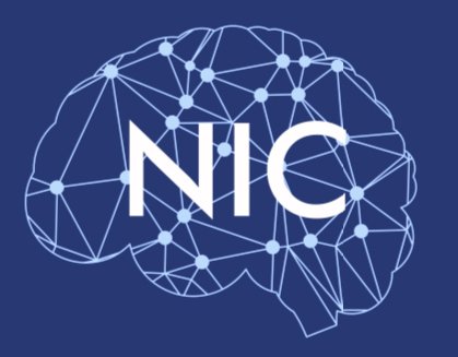 Neurology International Clinic Logo